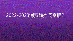 2022-2023消费趋势洞察报告.pptx