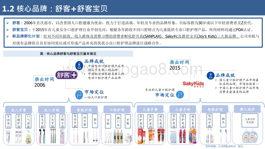 2022-2023一站式口腔护理研究报告.pptx_第5页