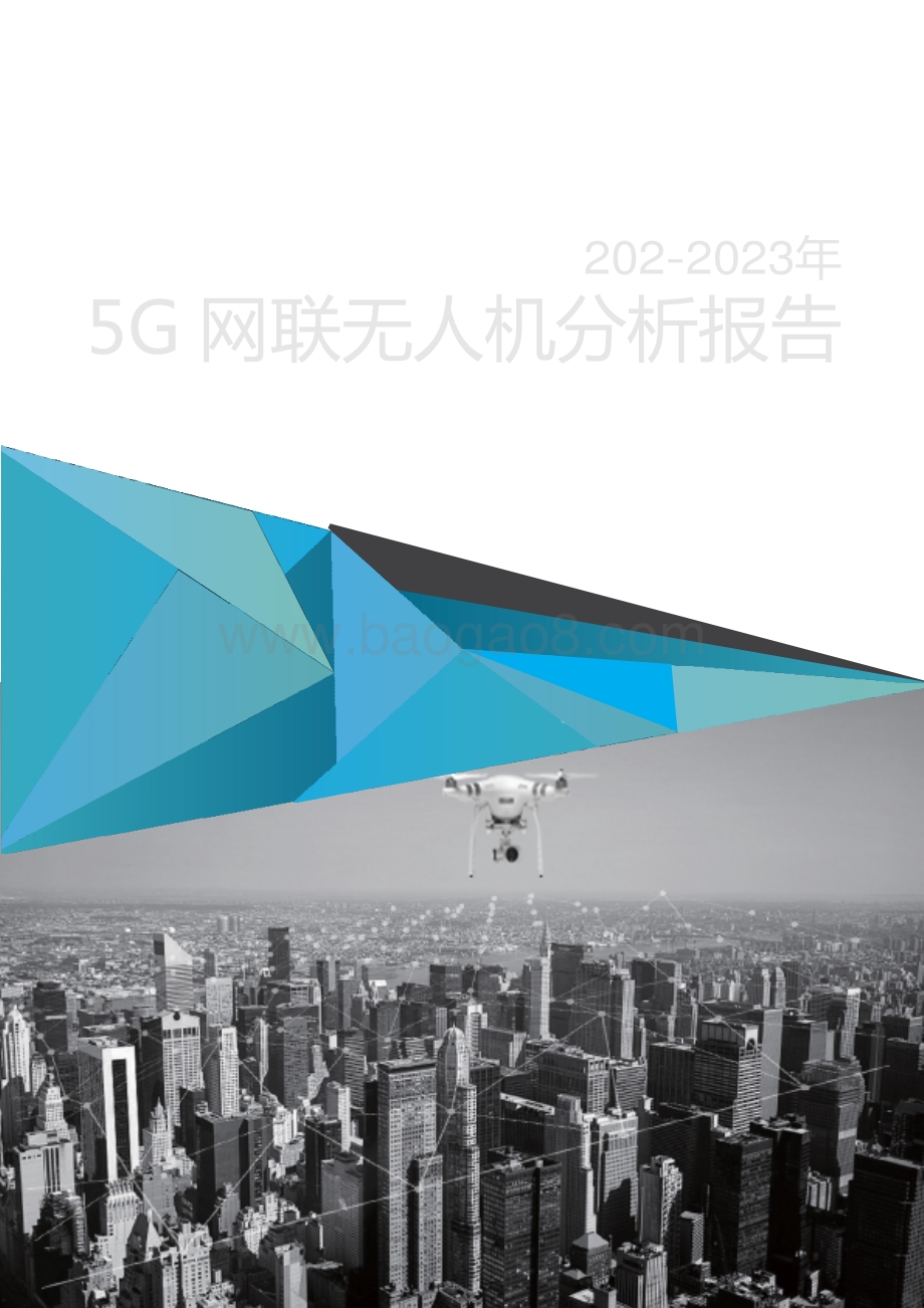 2022-2023年5G网联无人机分析报告.pdf_第1页