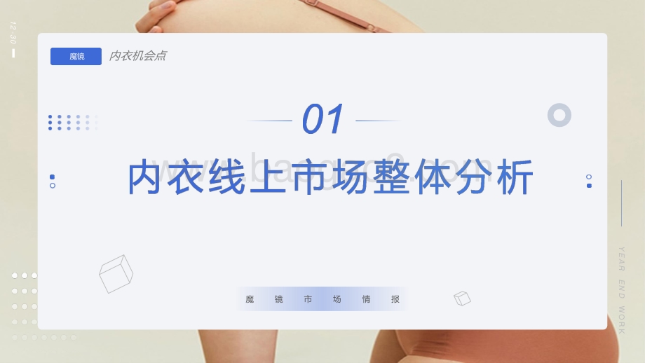 2021-2022内衣市场研究报告.pptx_第5页