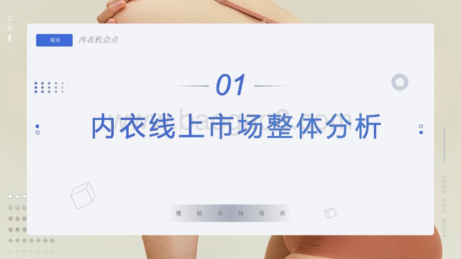 2021-2022内衣市场研究报告.pdf_第5页