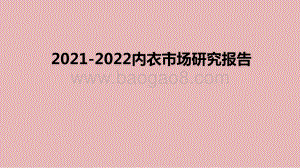 2021-2022内衣市场研究报告.pdf