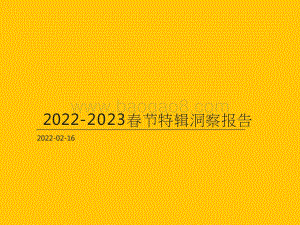 2022-2023春节特辑洞察报告.pptx