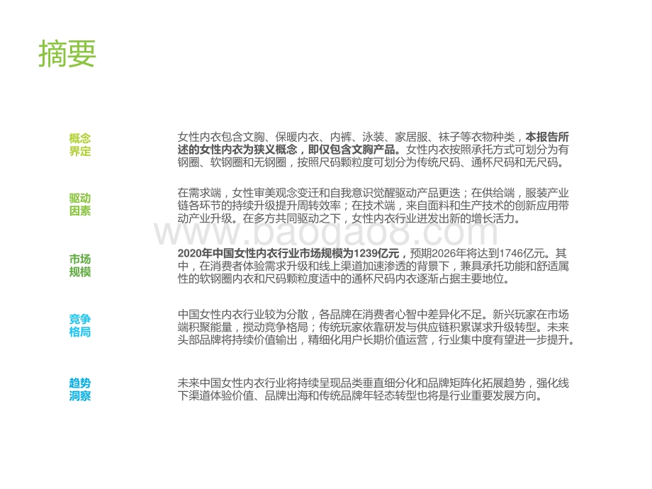 2022-2023中国女性内衣行业研究报告.pptx_第2页