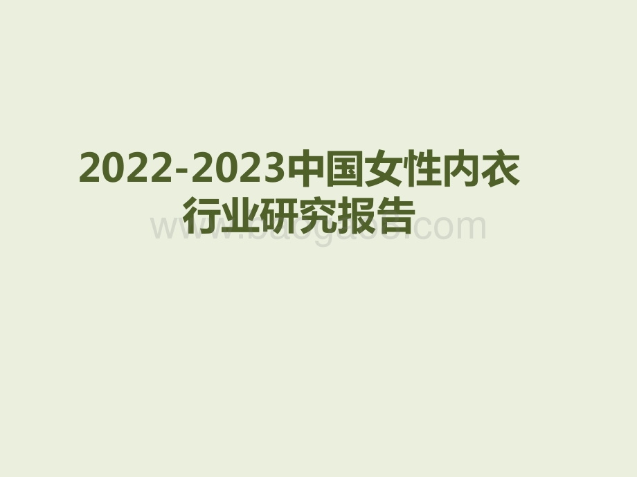 2022-2023中国女性内衣行业研究报告.pdf_第1页