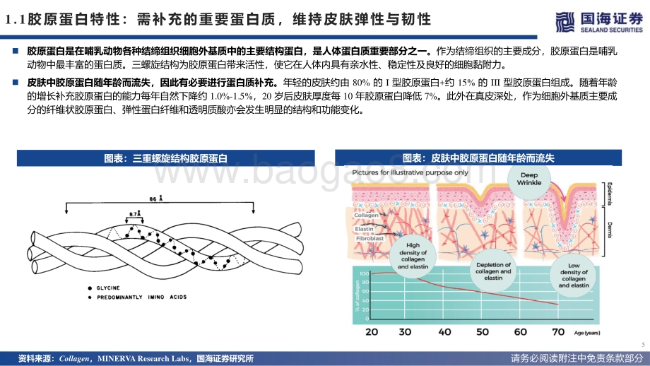 国海证券-商业贸易_巨子生物招股书解读_国内重组胶原蛋白护肤龙头_33页_2mb.pdf_第5页