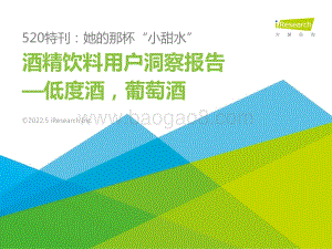酒精饮料用户洞察报告—低度酒_葡萄酒_31页_1mb.pdf
