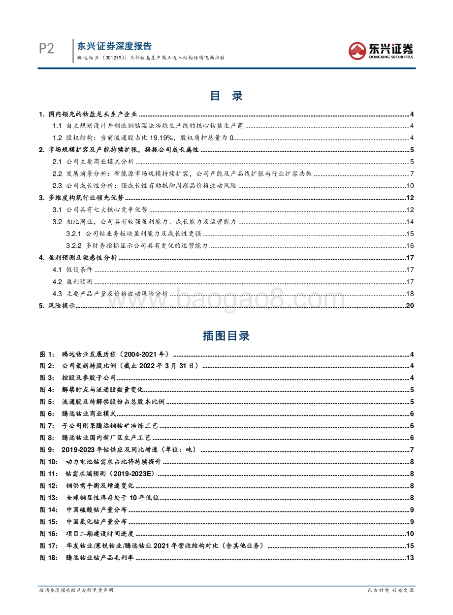 深度报告-东兴证券-腾远钴业-301219.SZ-头部钴盐生产商正迈入结构性腾飞新征程_23页_2mb.pdf_第2页