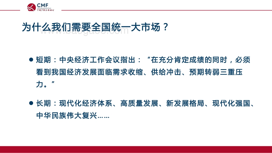 CMF：“政府-市场”职能归位与全国统一大市场构建_69页_998kb.pdf_第5页