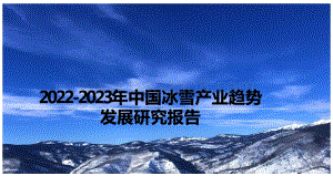 2022-2023年中国冰雪产业趋势发展研究报告.pptx