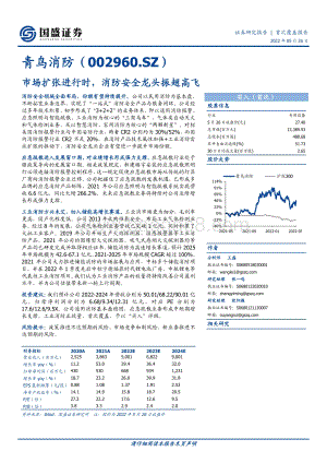 深度报告-国盛证券-青鸟消防-002960.SZ-市场扩张进行时_消防安全龙头振翅高飞_28页_2mb.pdf