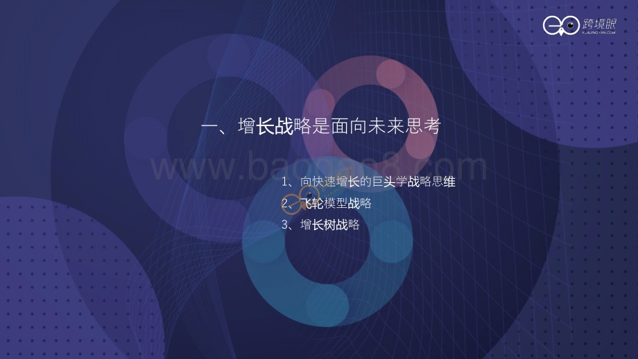 跨境眼-如何打造持续增长型组织-陈贤亭-29页_6mb.pdf_第2页
