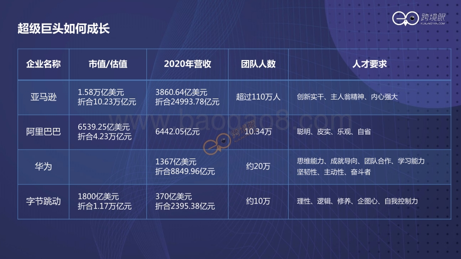 跨境眼-如何打造持续增长型组织-陈贤亭-29页_6mb.pdf_第4页
