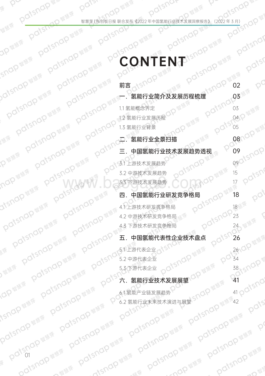 2022年中国氢能行业技术发展洞察报告-47页_2mb.pdf_第2页