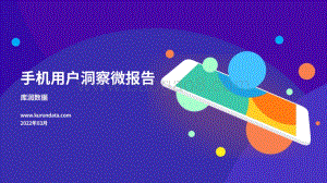 2022年手机用户洞察微报告-20页_3mb.pdf