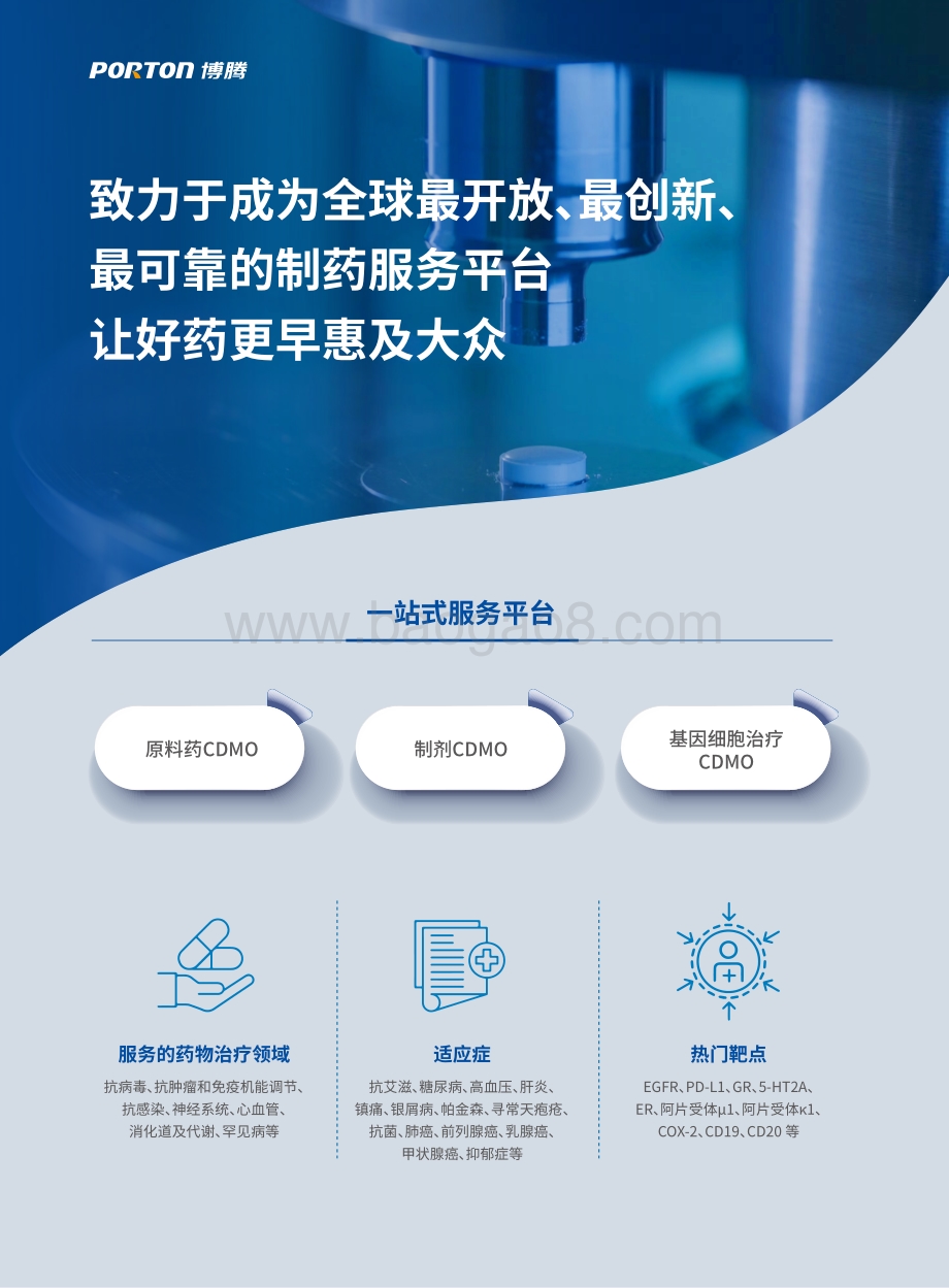 博腾制药2021年度报告-206页_11mb.pdf_第2页