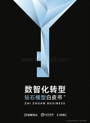 数智化转型：钻石模型白皮书-37页_14mb.pdf