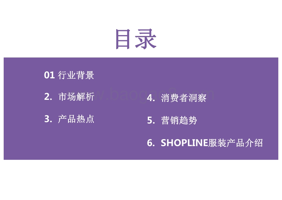2022-2023服装行业出海营销报告.pdf_第4页