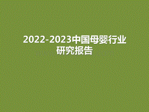 2022-2023中国母婴行业研究报告.pptx