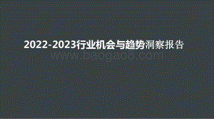 2022-2023行业机会与趋势洞察报告.pptx