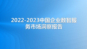2022-2023中国企业数智服务市场洞察报告.pdf