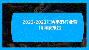 2022-2023年快手酒行业营销洞察报告.pptx