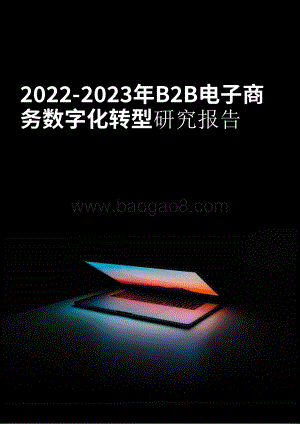2022-2023年B2B电子商 务数字化转型研究报告.pdf