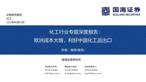 深度报告-国海证券-化工行业专题深度报告_欧洲成本大增_利好中国化工品出口_107页_7mb.pdf