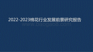 2022-2023棉花行业发展前景研究报告.pptx