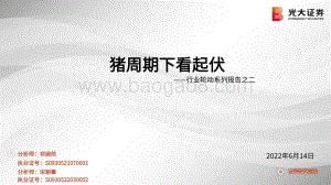 光大证券-行业轮动系列报告之二_猪周期下看起伏_21页_1mb.pdf
