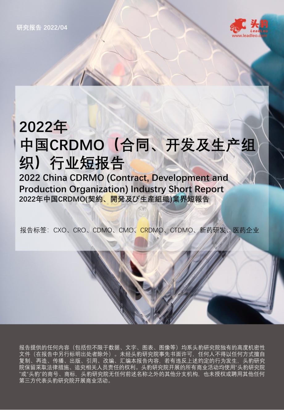 2022年中国CRDMO（合同、开发及生产组织）行业短报告_22页_8mb.pdf_第1页