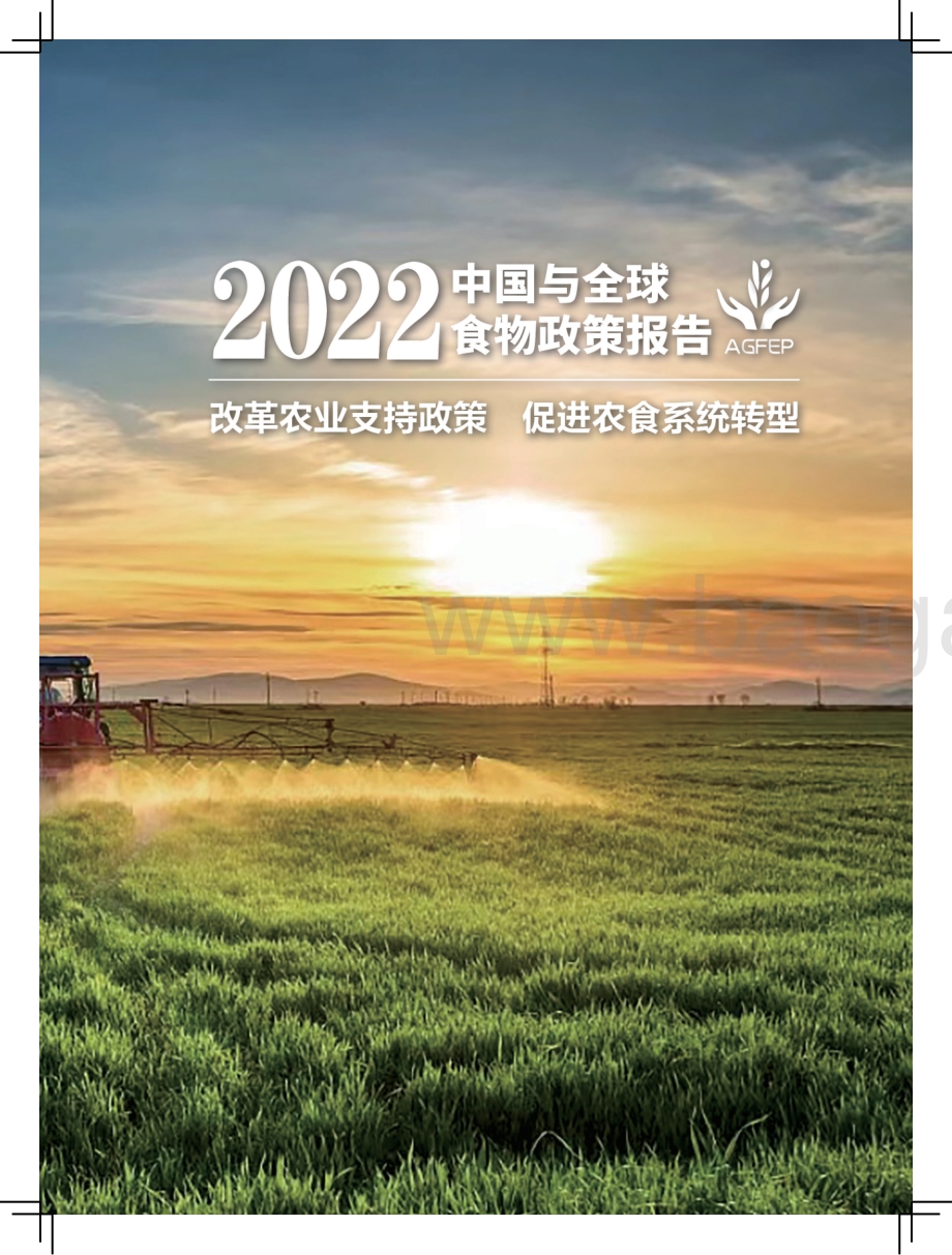 2022年中国与全球食物政策报告_104页_9mb.pdf_第4页