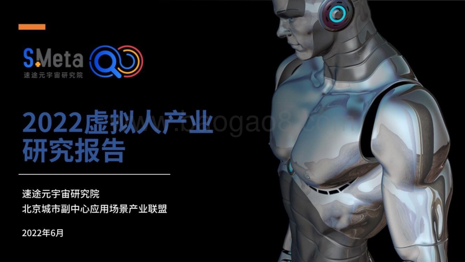 2022虚拟人产业研究报告-速途元宇宙研究院_65页_7mb.pdf_第1页