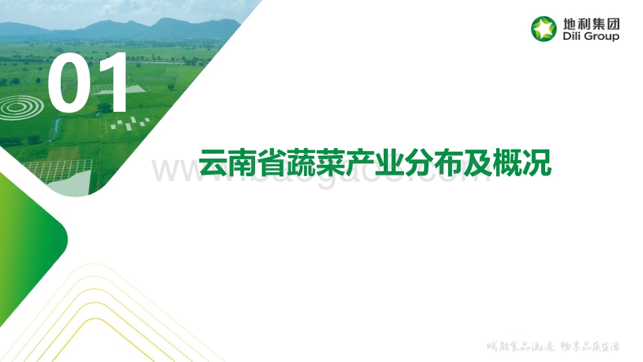 地利集团：云南省蔬菜产业分布流通报告及开发模式探析_43页_10mb.pdf_第3页