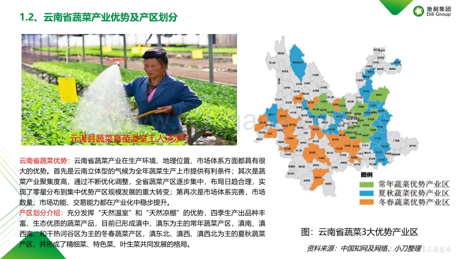 地利集团：云南省蔬菜产业分布流通报告及开发模式探析_43页_10mb.pdf_第5页