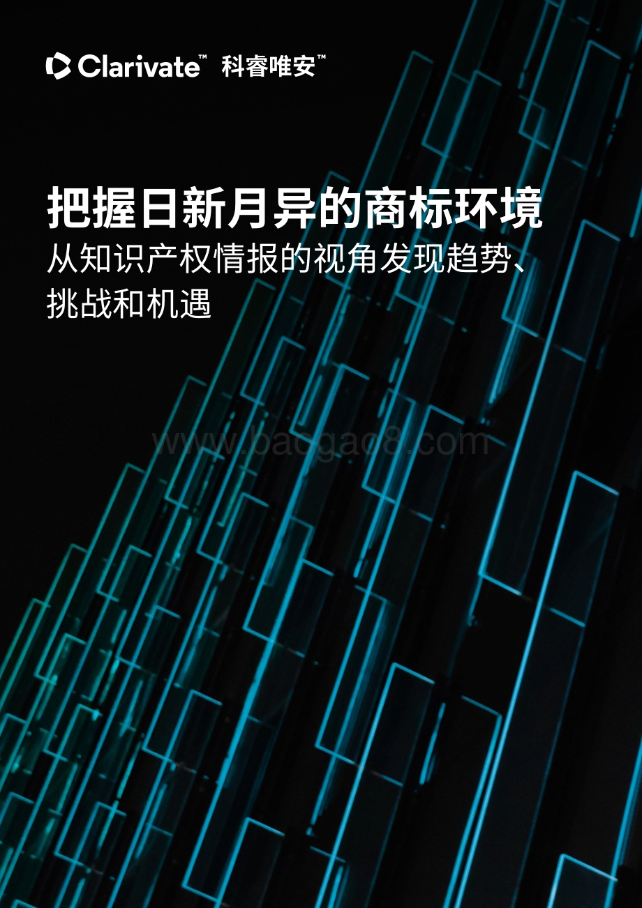 把握日新月异的商标环境：从知识产权情报的视角发现趋势、挑战和机遇_16页_2mb.pdf_第1页
