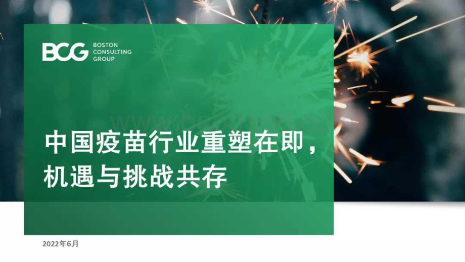 中国疫苗行业重塑在即机遇与挑战共存-BCG_29页_1mb.pdf_第1页