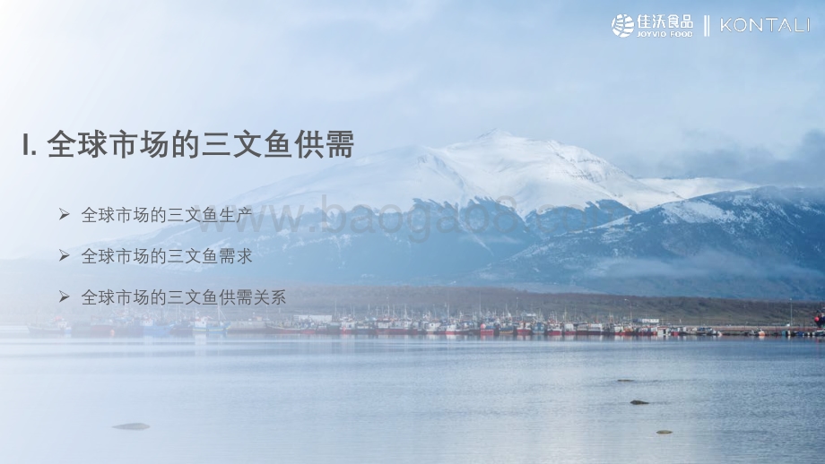 三文鱼行业及市场洞察报告_32页_3mb.pdf_第3页