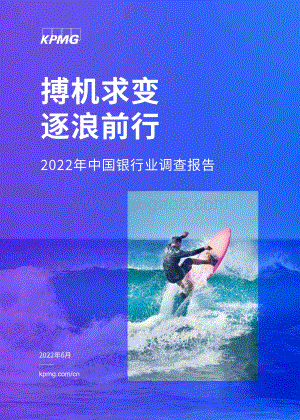 毕马威-2022年中国银行业调查报告_搏机求变_逐浪前行_222页_11mb.pdf