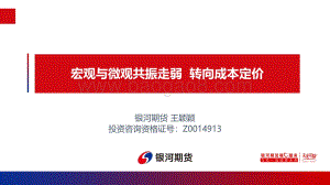 银河期货-宏观与微观共振走弱_转向成本定价_33页_10mb.pdf