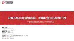 中泰期货-油脂油料周报_宏观市场悲观情绪蔓延_油脂价格承压继续下跌_62页_4mb.pdf