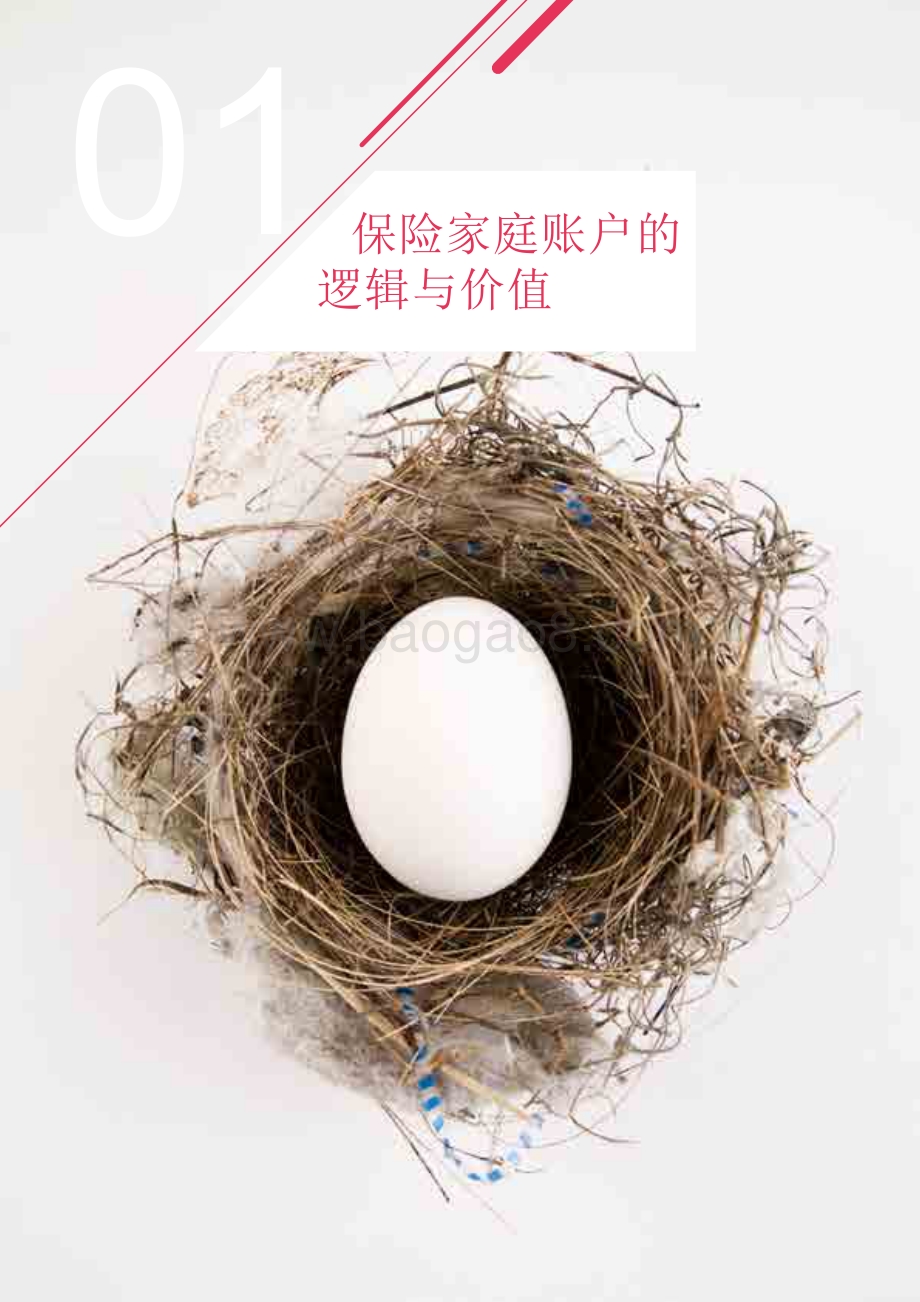 2020中国保险家庭账户研究报告.pdf_第5页