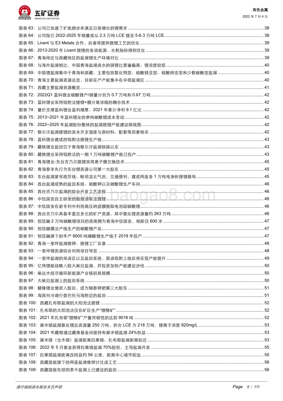 深度报告-有色金属_全球盐湖提锂的变革_技术为资源加持_唤醒_高原上的沉默宝藏__111页_12mb.pdf_第5页