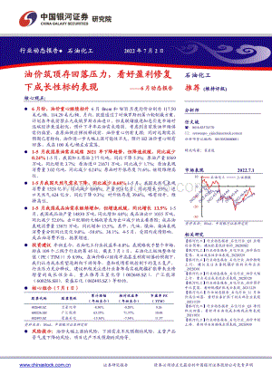 石油化工6月动态报告_油价筑顶存回落压力_看好盈利修复下成长性标的表现_24页_1mb.pdf