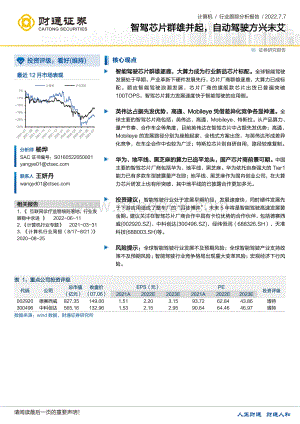 计算机行业跟踪分析报告_智驾芯片群雄并起_自动驾驶方兴未艾_28页_2mb.pdf