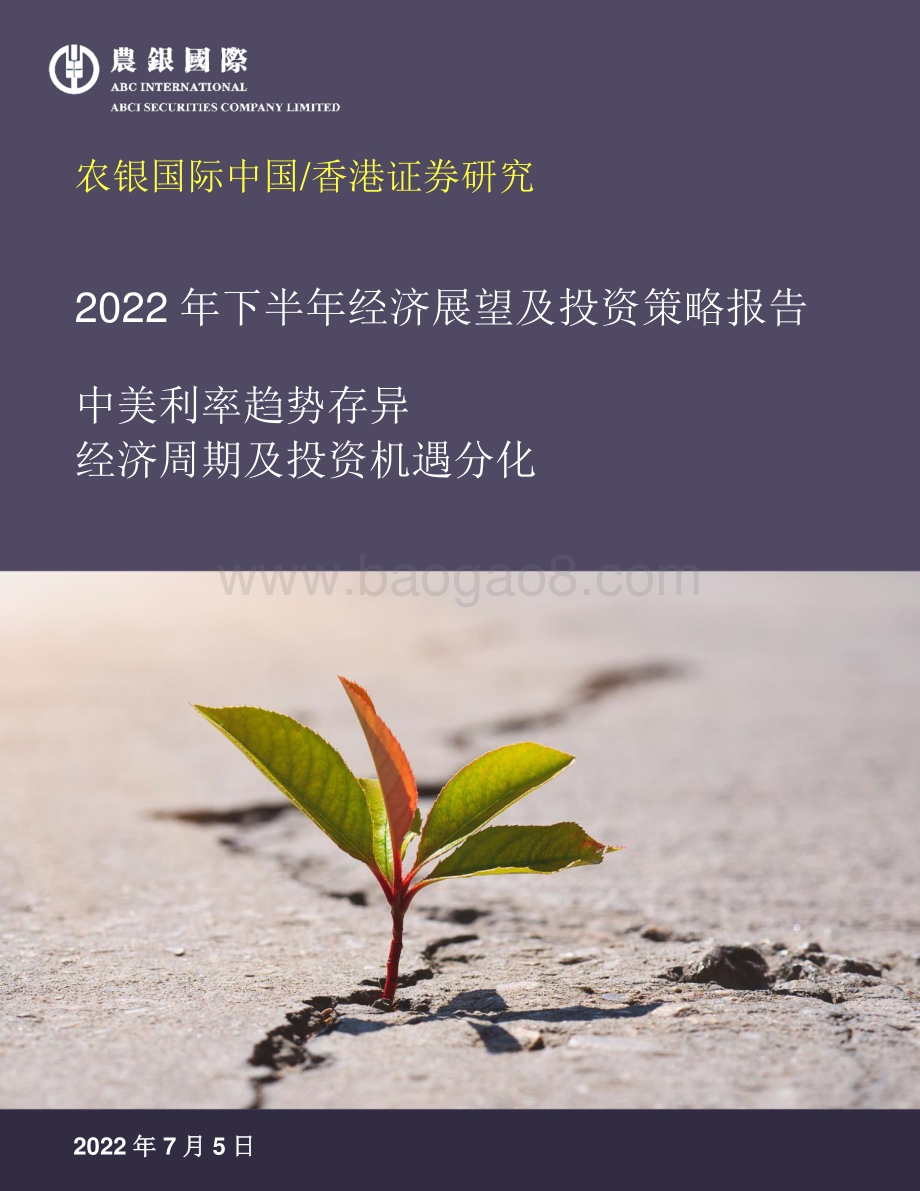农银国际证券-2022年下半年经济展望及投资策略报告_中美利率趋势存异_经济周期及投资机遇分化_44页_4mb.pdf_第1页