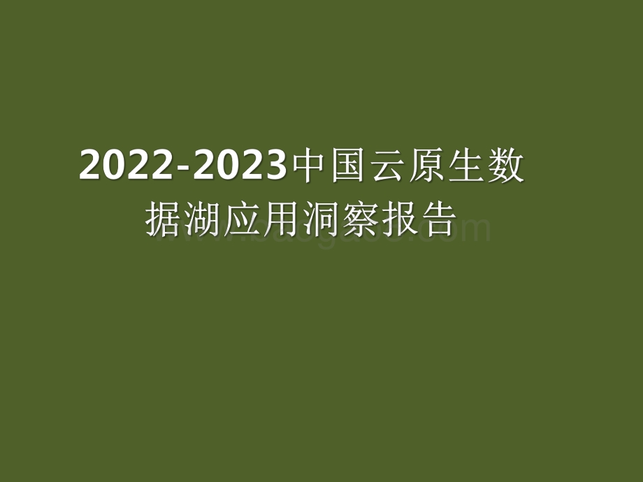 2022-2023中国云原生数据湖应用洞察报告.pdf_第1页