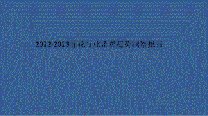 2022-2023棉花行业消费趋势洞察报告.pdf