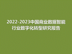 2022-2023中国商业数据智能行业数字化转型研究报告.pdf