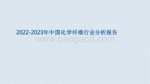 2022-2023年中国化学纤维行业分析报告.pdf